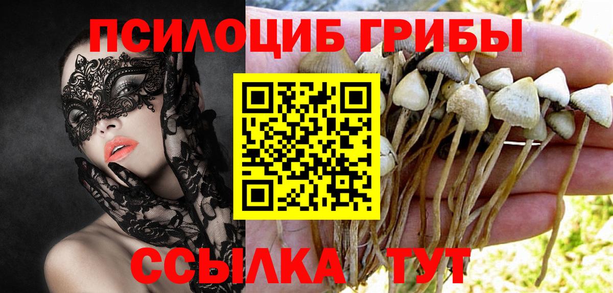 Галлюциногенные грибы мухоморы Асбест